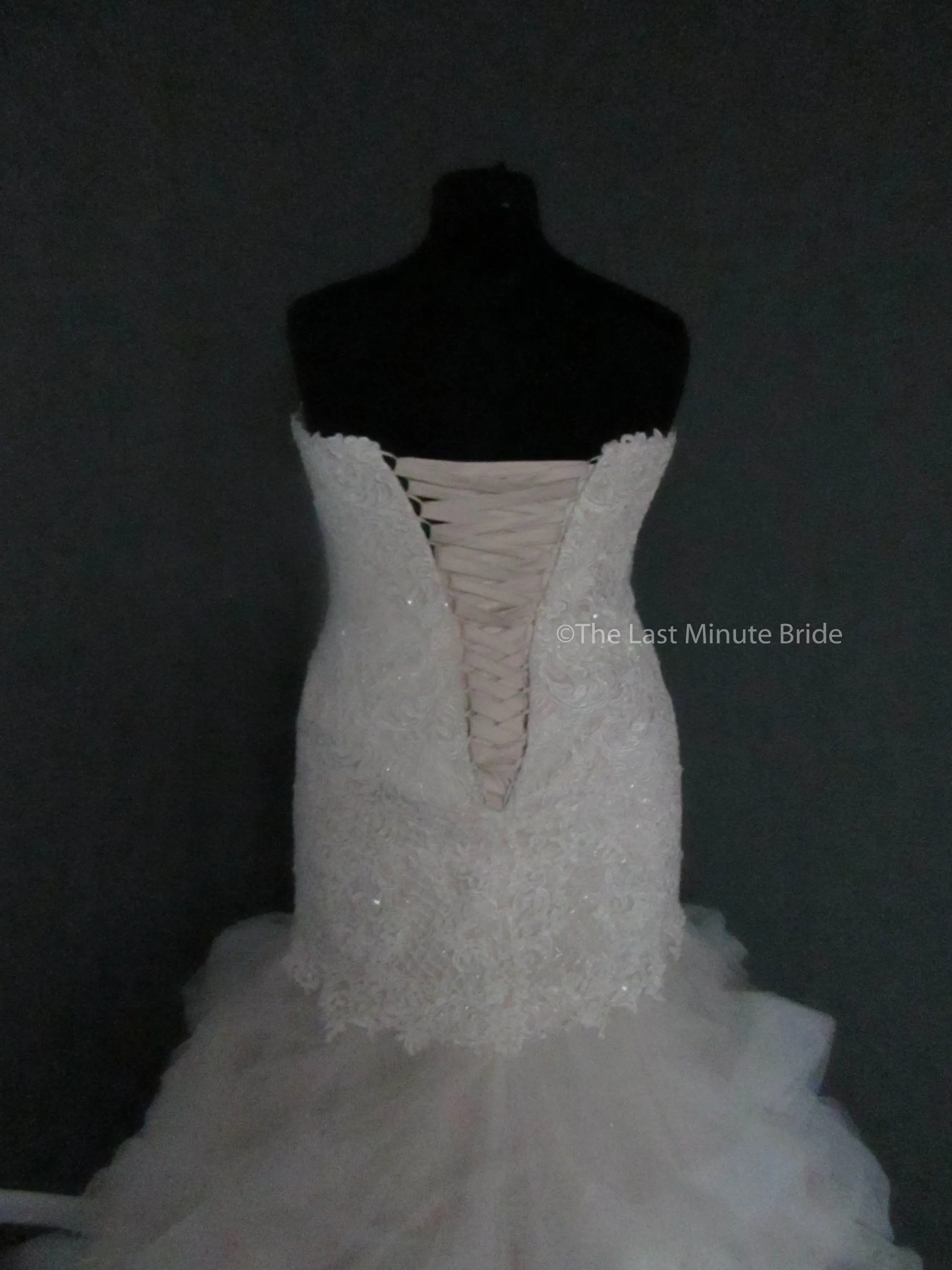Essense of Australia D2258 Size 20