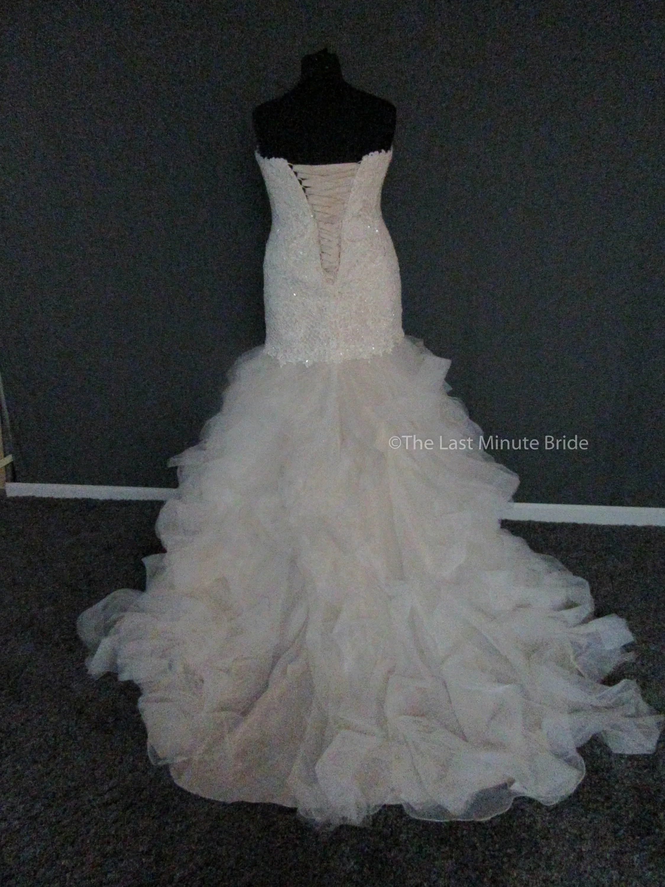 Essense of Australia D2258 Size 20