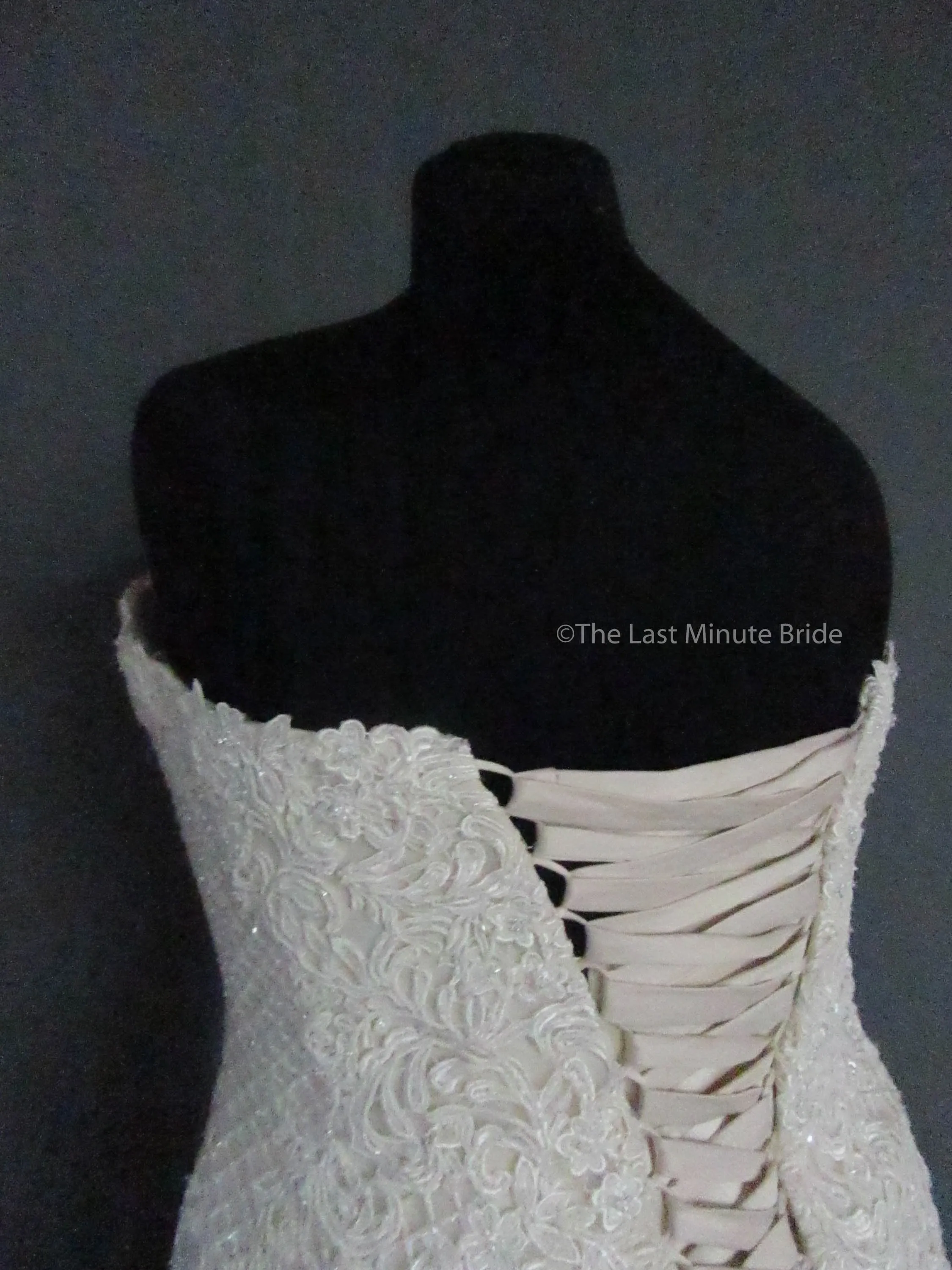 Essense of Australia D2258 Size 20