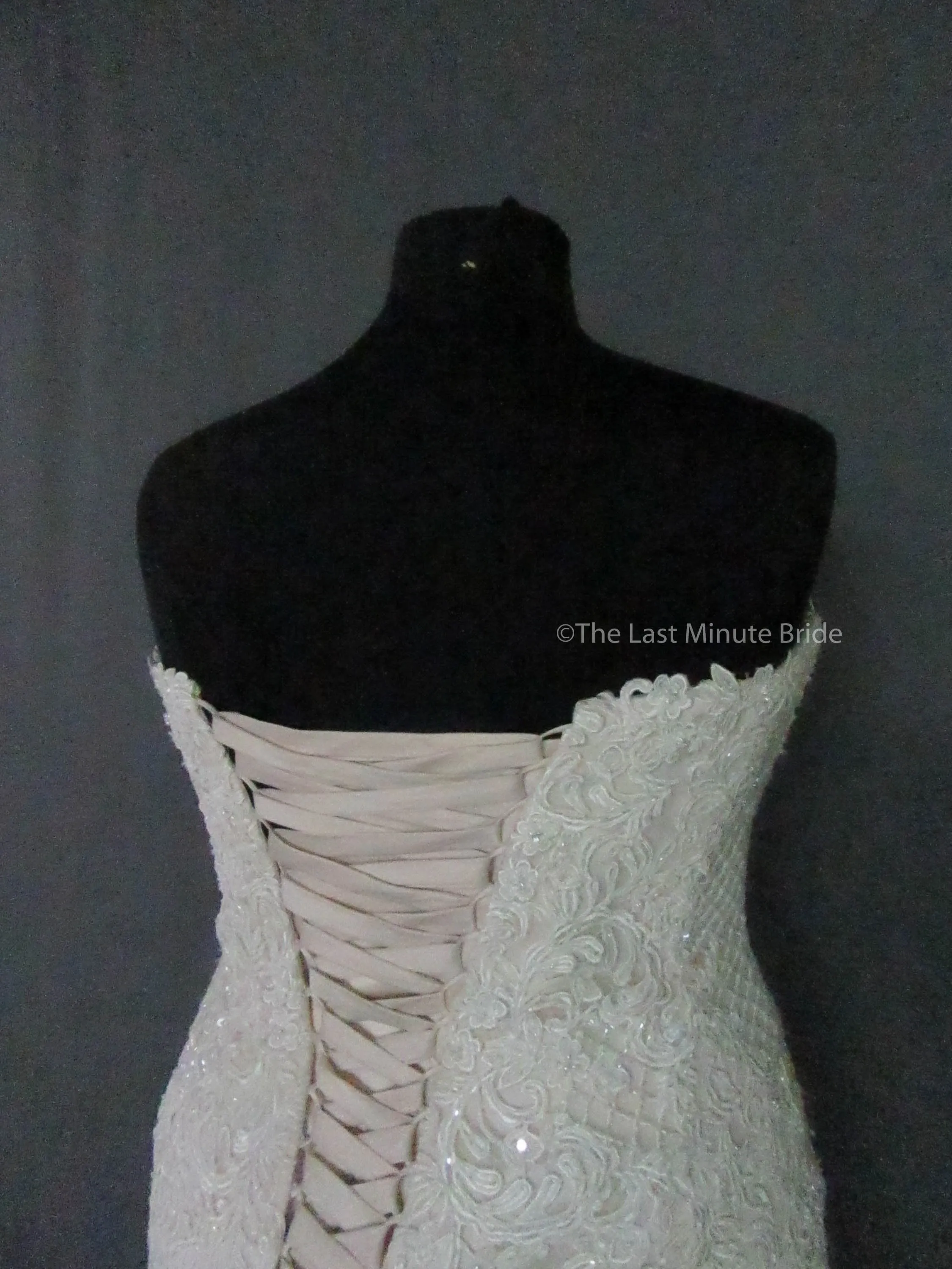 Essense of Australia D2258 Size 20