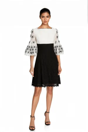 Floral Appliqué Colorblock Fit & Flare Lace Dress