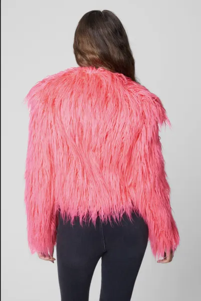 Jacket - High Key -