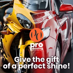 Pro Detailing Delight Card