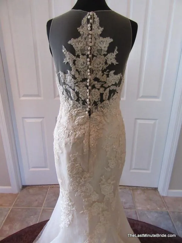 Pronovias Latonia