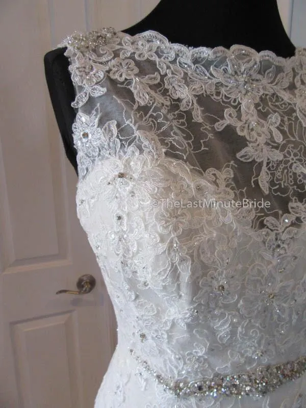 Sophia Tolli Teal Y11561