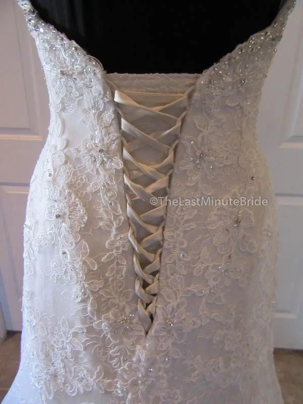 Sophia Tolli Teal Y11561