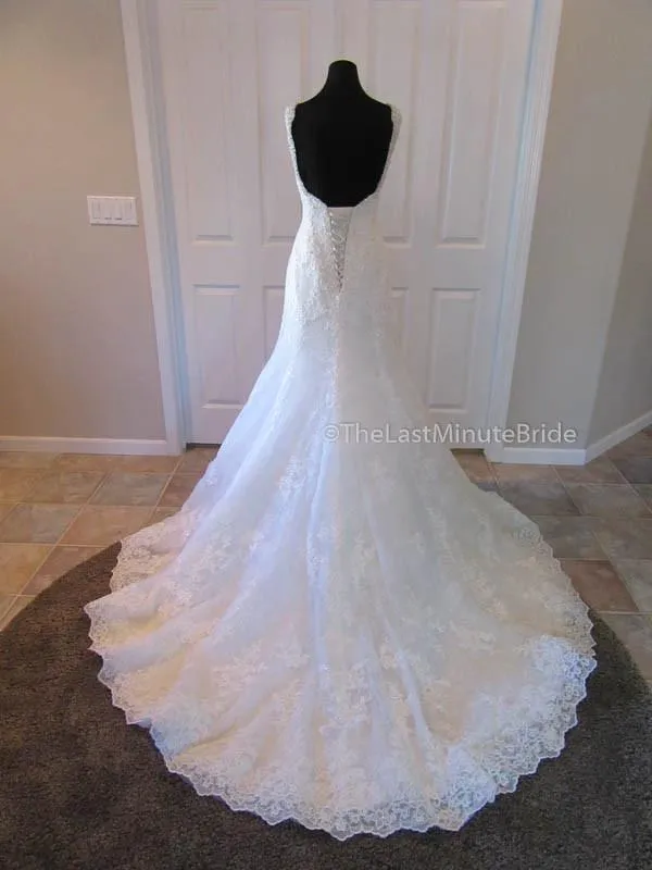 Sophia Tolli Teal Y11561