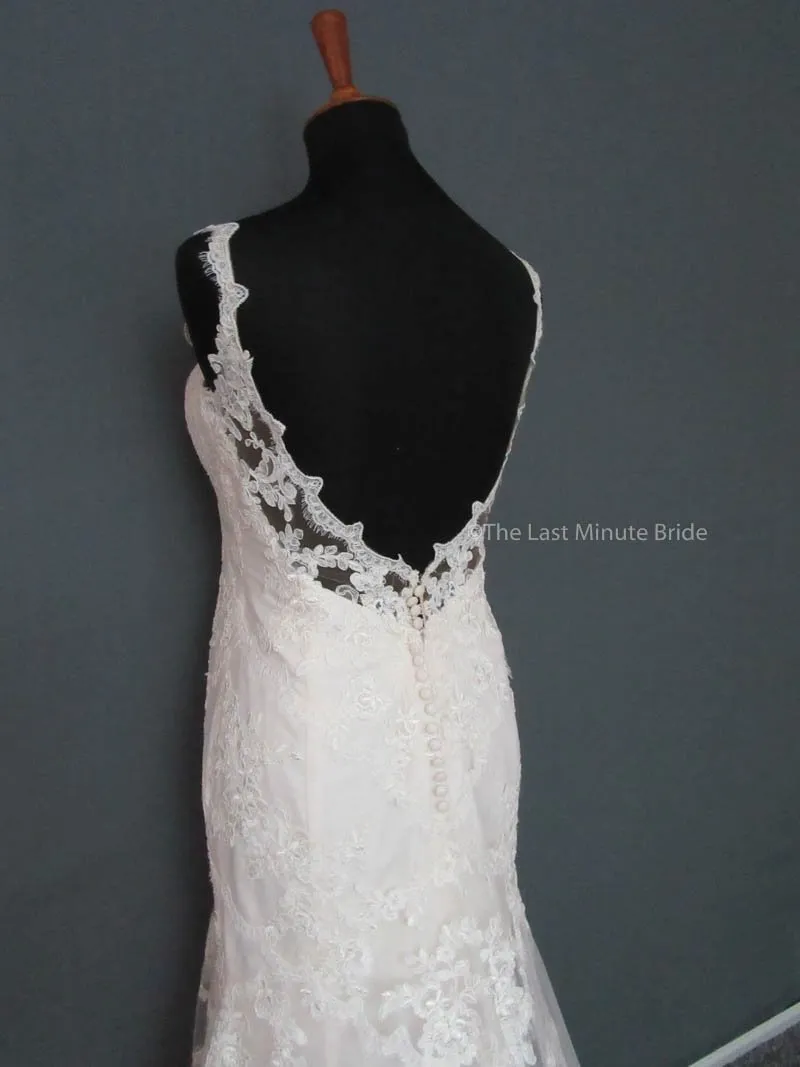 Stella York 6247